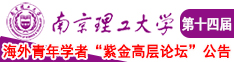 大胸好爽草南京理工大学第十四届海外青年学者紫金论坛诚邀海内外英才！